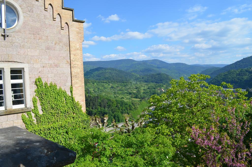 Wildbad Luft Apartment Bad Wildbad Exterior foto